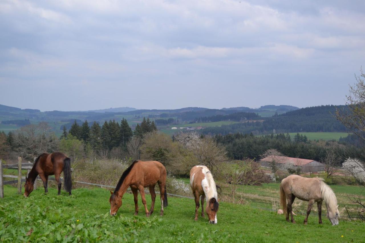Les Perruchons Ancienne Grange Renovee Avec Soin Βίλα Ozolles Εξωτερικό φωτογραφία