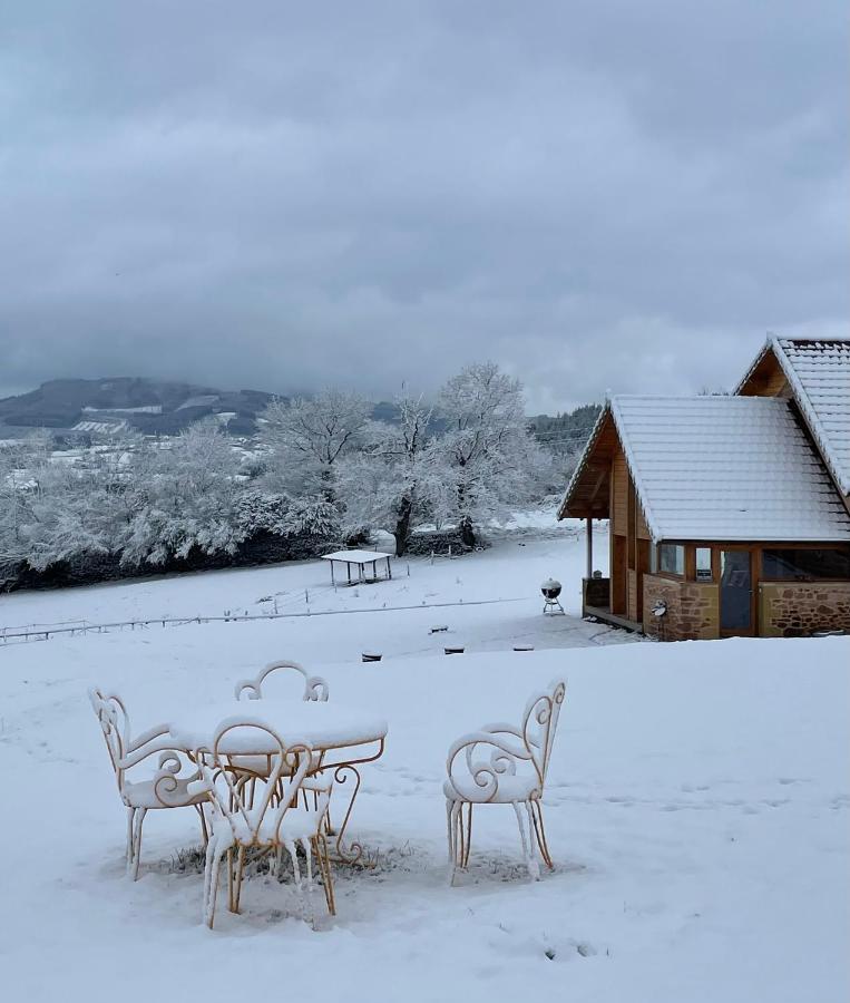 Les Perruchons Ancienne Grange Renovee Avec Soin Βίλα Ozolles Εξωτερικό φωτογραφία