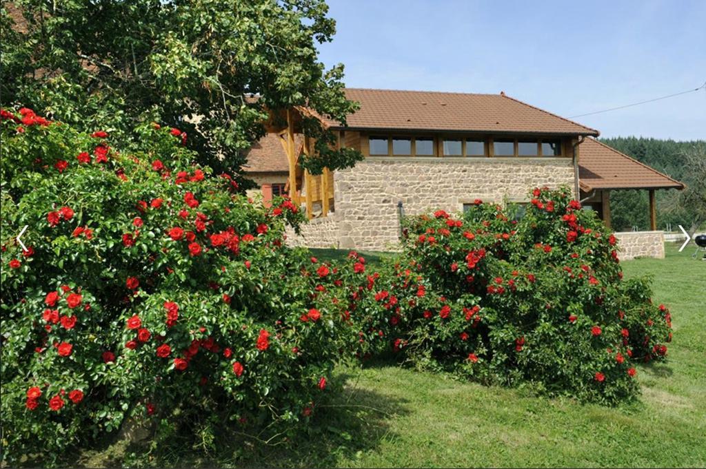 Les Perruchons Ancienne Grange Renovee Avec Soin Βίλα Ozolles Δωμάτιο φωτογραφία
