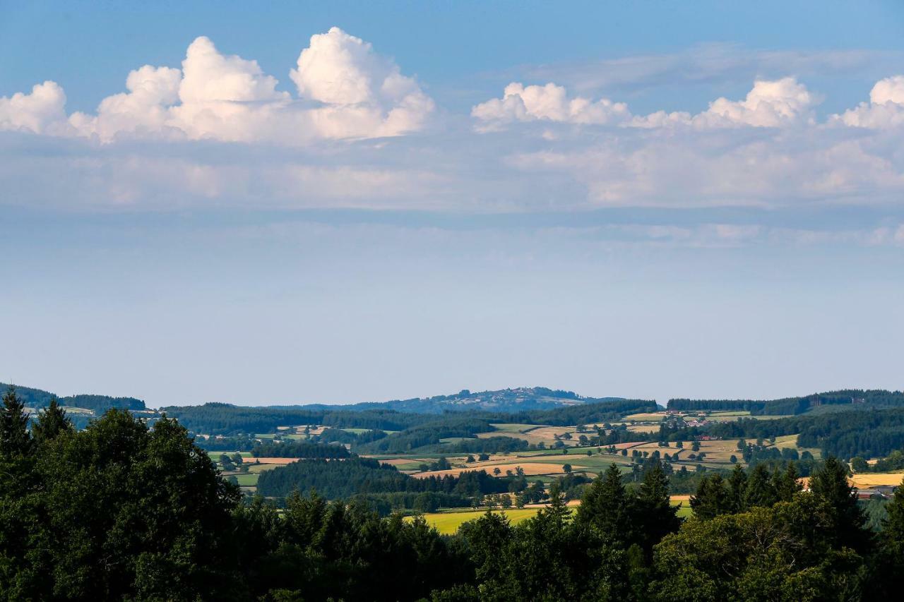 Les Perruchons Ancienne Grange Renovee Avec Soin Βίλα Ozolles Εξωτερικό φωτογραφία